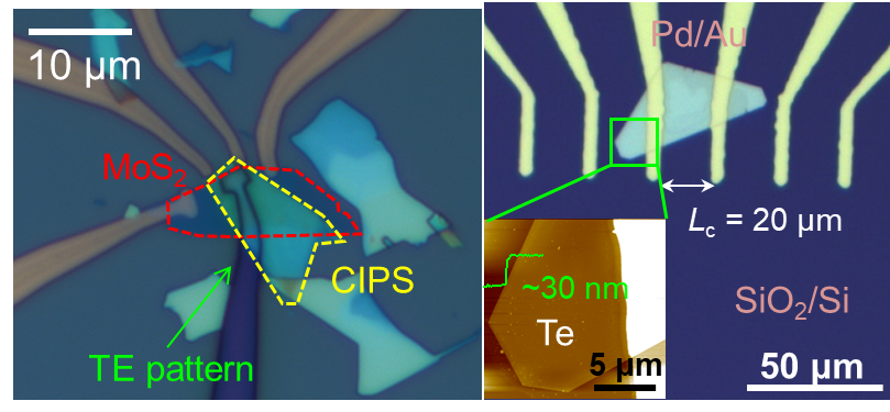 van der Waals device optical micrograph