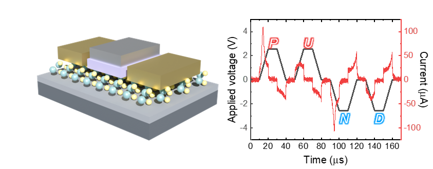 Device transport measurement