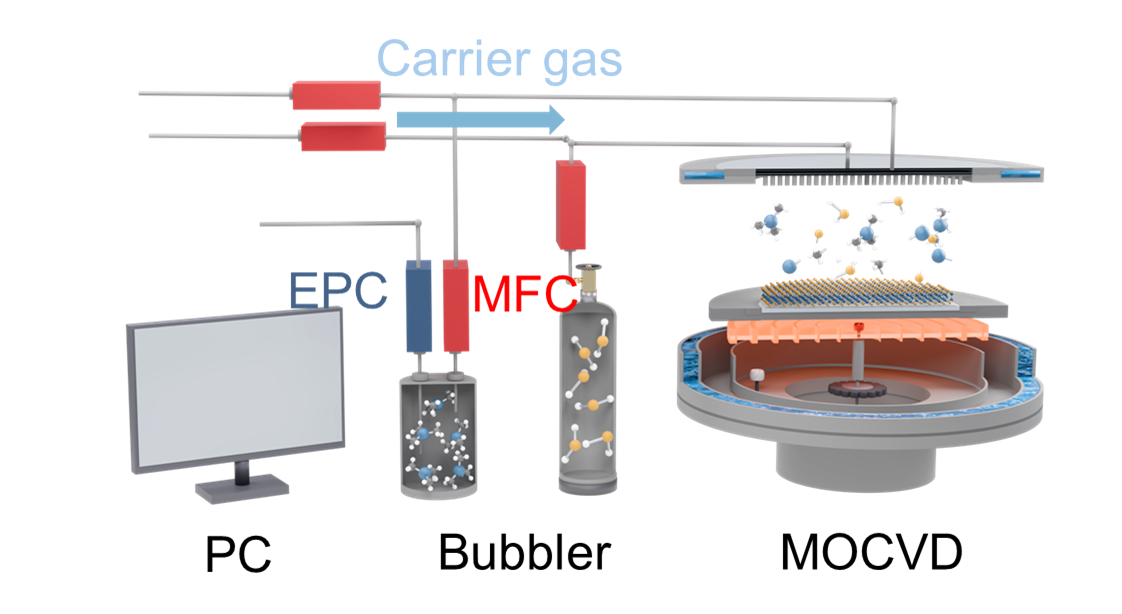 MOCVD growth schematic
