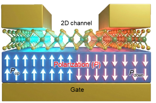 Ferroelectric-induced bound excitons in a 2D channel