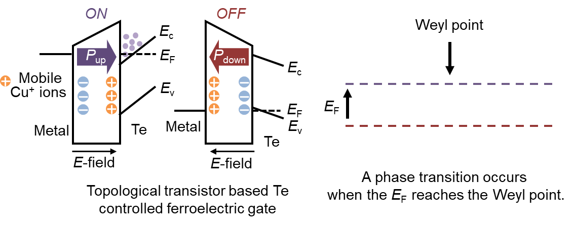 Ferroelectric-gated topological transistor